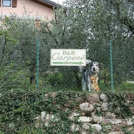 Carpene Отель типа 